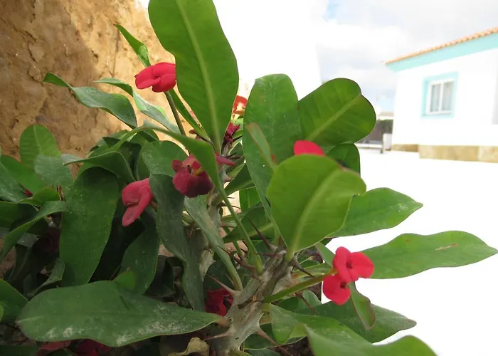 Nautico Boutique Apartments, By Comfortable Luxury - Adults Only 아파트호텔