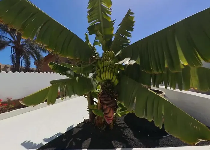 아파트호텔 Nautico Boutique Apartments, By Comfortable Luxury - Adults Only 3*