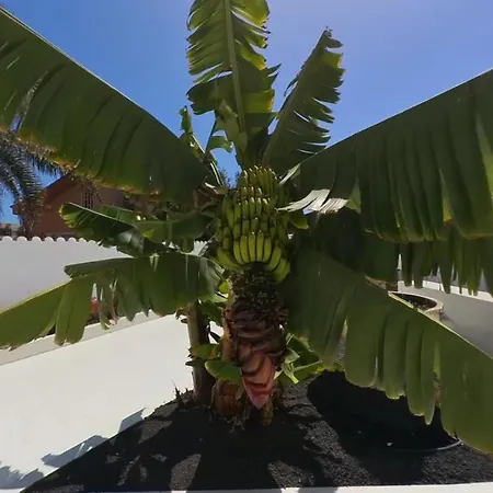 Aparthotel Nautico Boutique Apartments, By Comfortable Luxury - Adults Only 3*