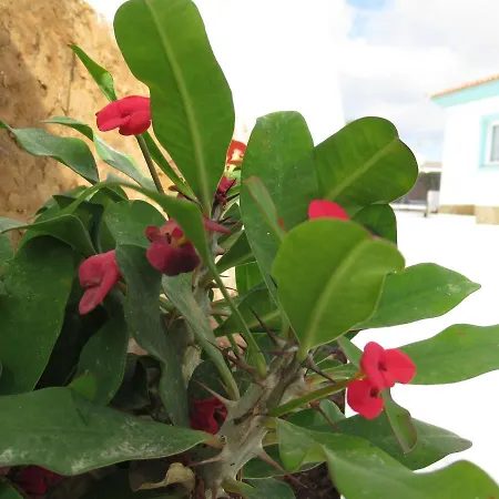 Nautico Boutique Apartments, By Comfortable Luxury - Adults Only Hotel apartamentowy